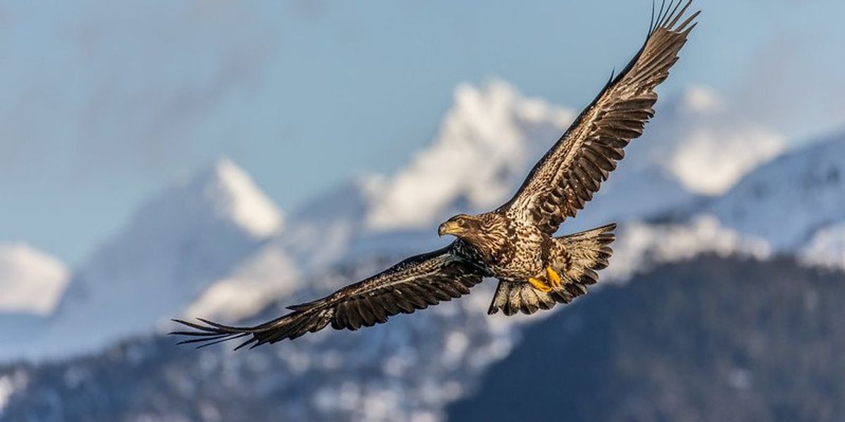 alaska environmental protections