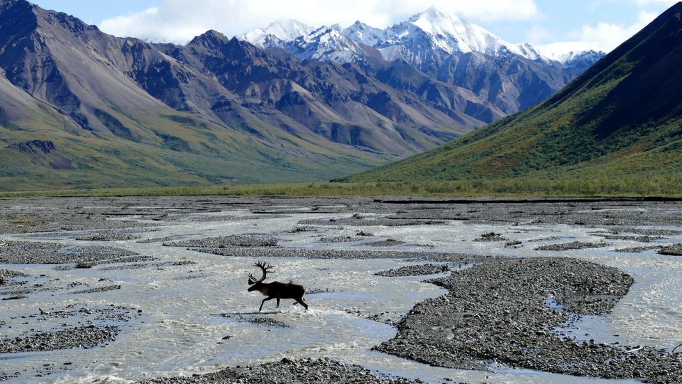 In Alaska, Tribal Governments Push for Larger Conservation Role