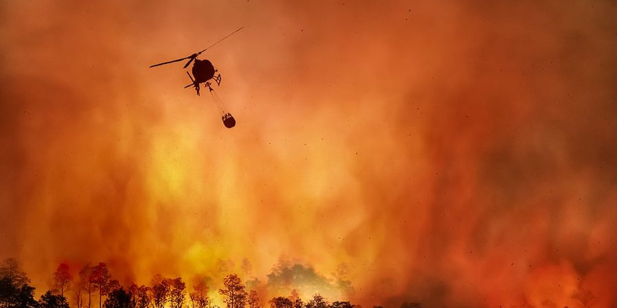 amazon fires