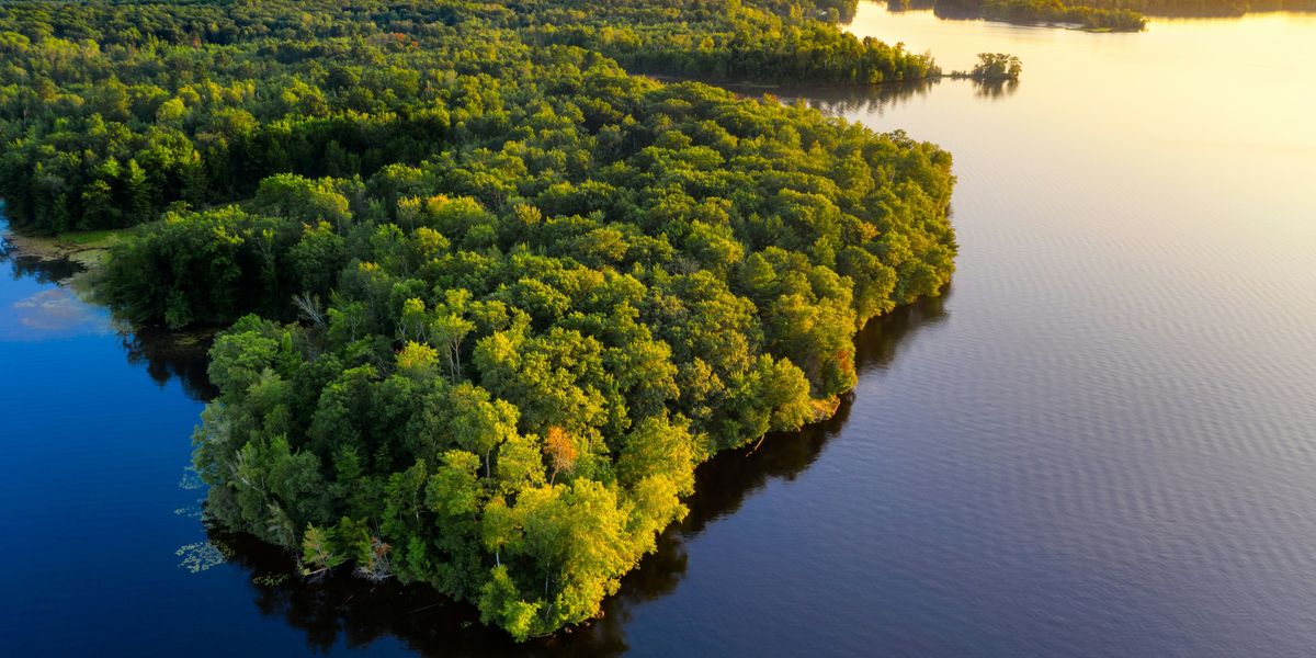 Amazon river with lush forest viewed from above.