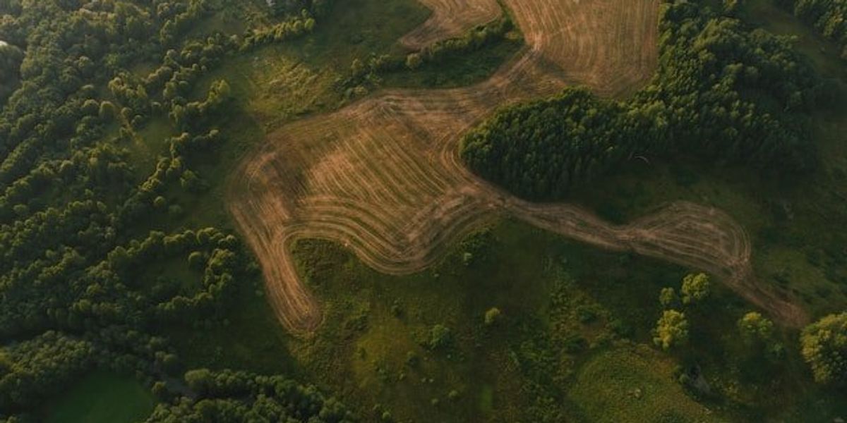 An aerial view of a cleared area of a forest