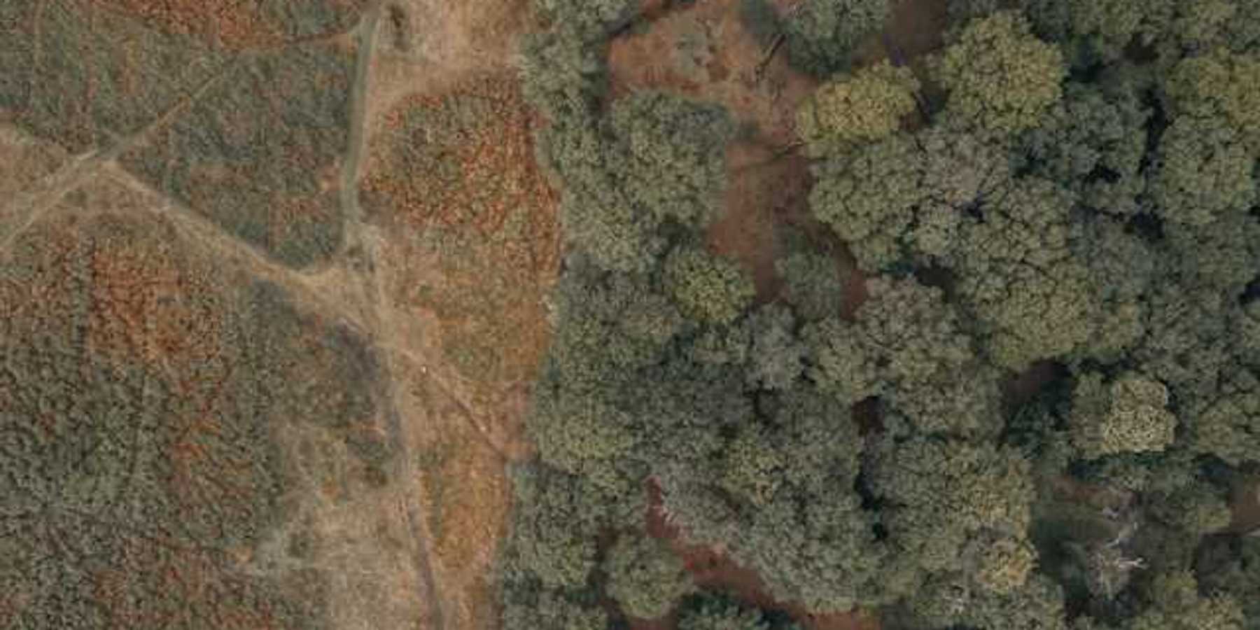 An aerial view of a forest with deforested area on the left