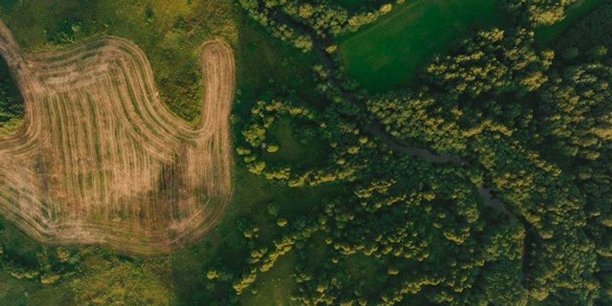 An aerial view of a forest with some sections deforested for farm fields.