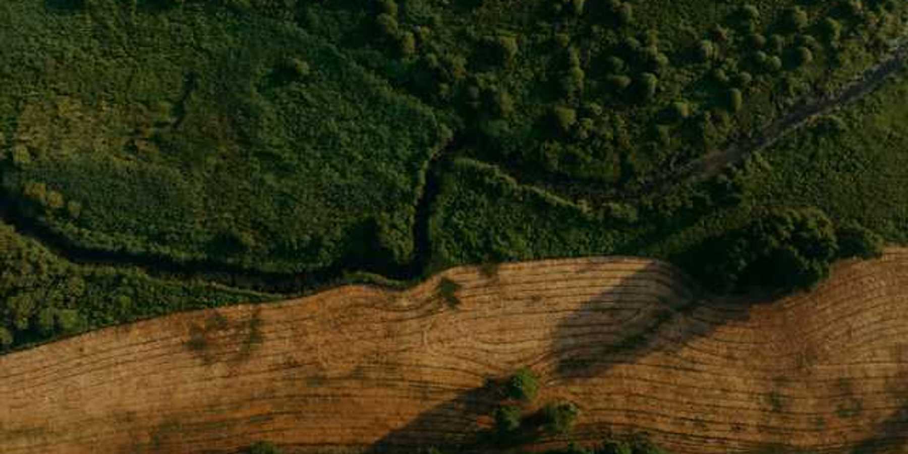An aerial view of a green forest with a deforested section running through it