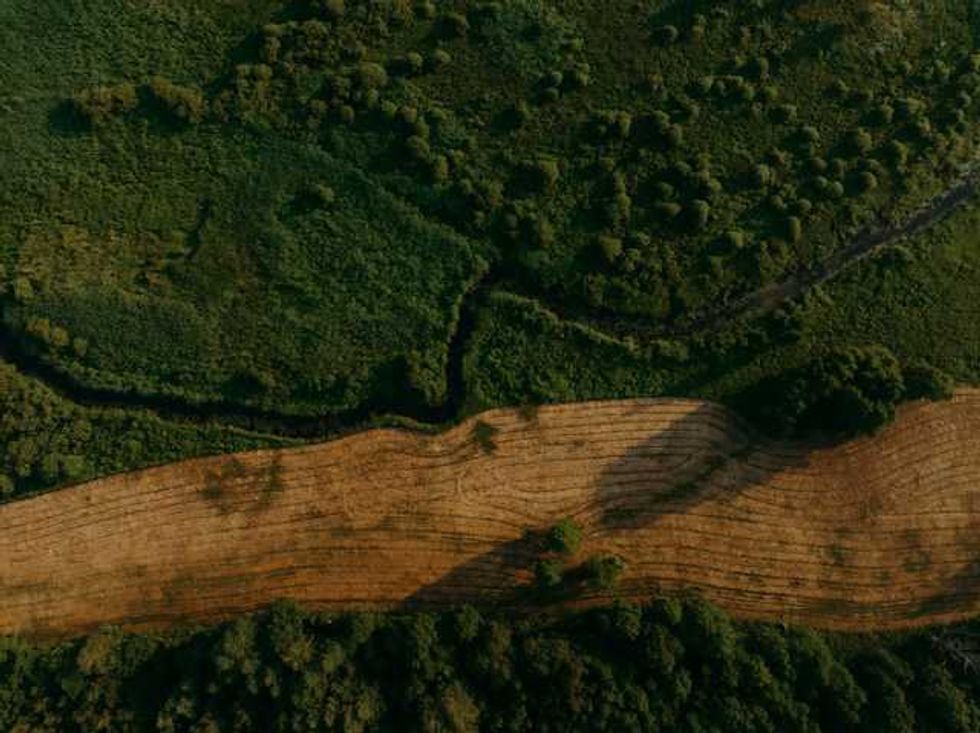 Deforestation is on the ballot in Brazil’s presidential election