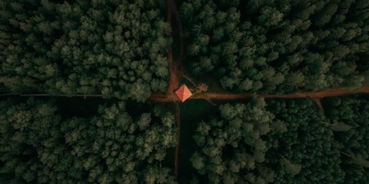 An aerial view of a lone hut at the crossroads of dirt roads in a forest.