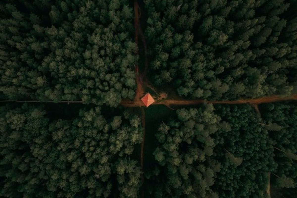 An aerial view of a lone hut at the crossroads of dirt roads in a forest.