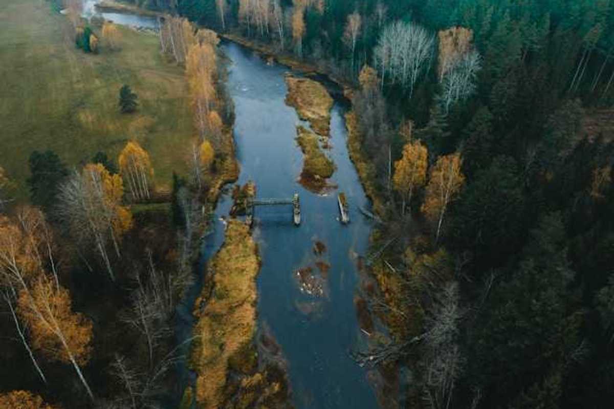 An aerial view of a river with trees that are green, yellow, and bare