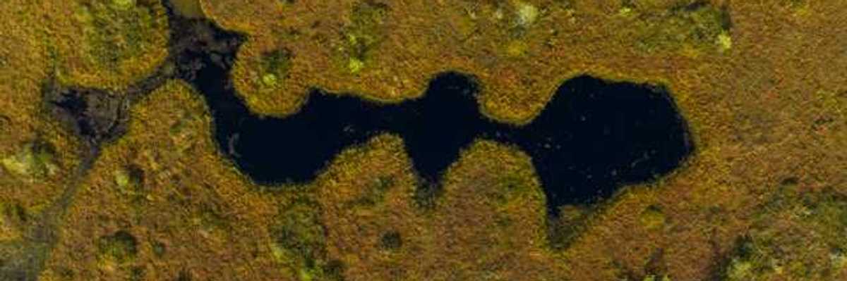 An aerial view of a wetlands area with green areas and a water source