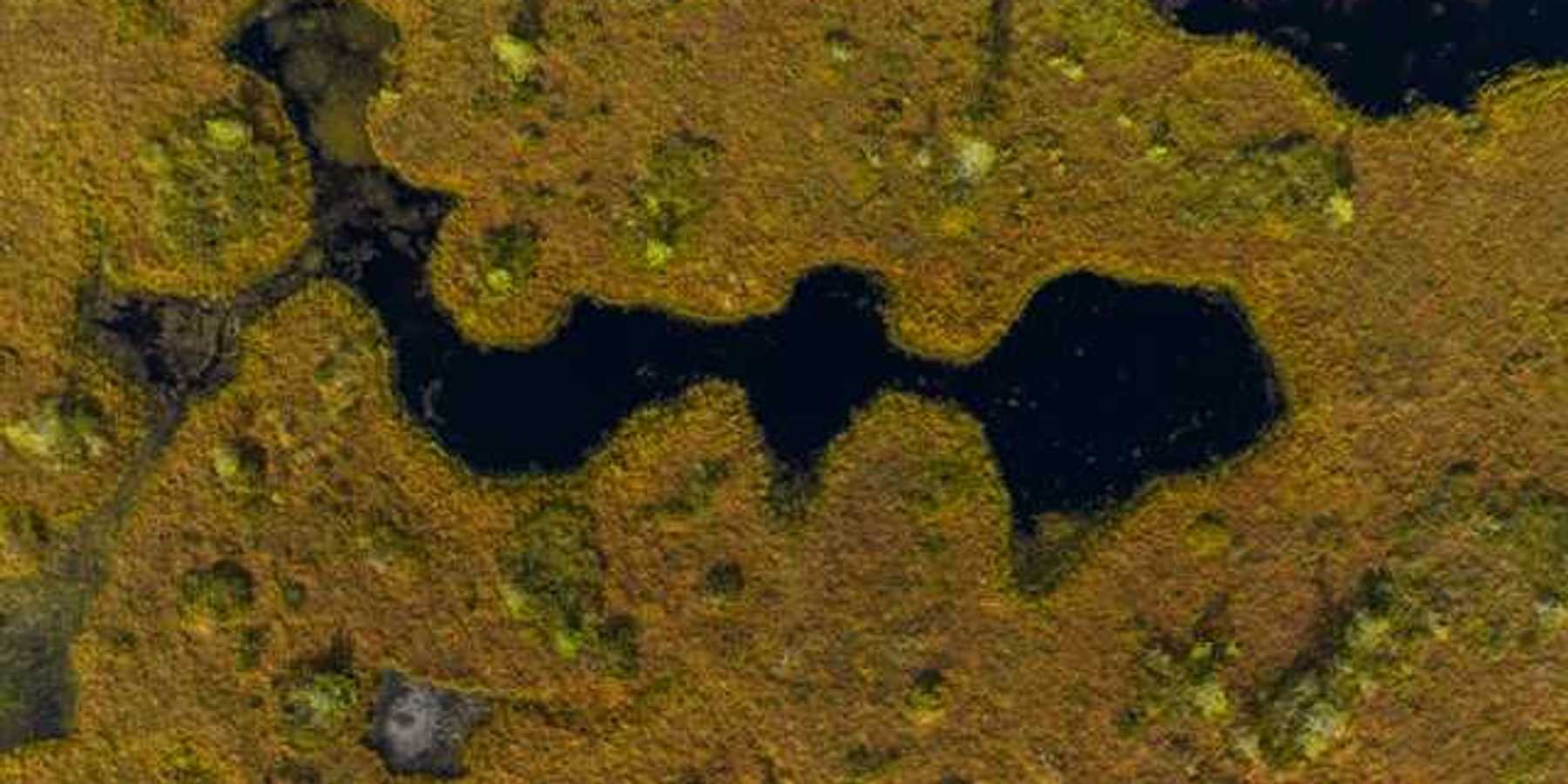 An aerial view of a wetlands area with green areas and a water source