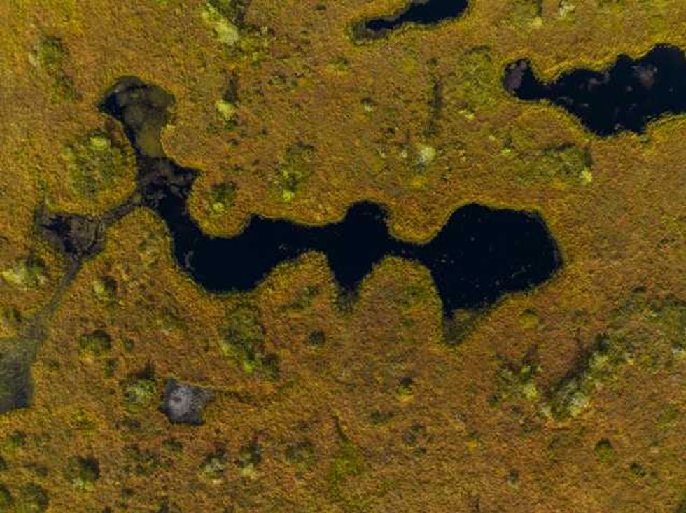 Big trouble from little wetlands