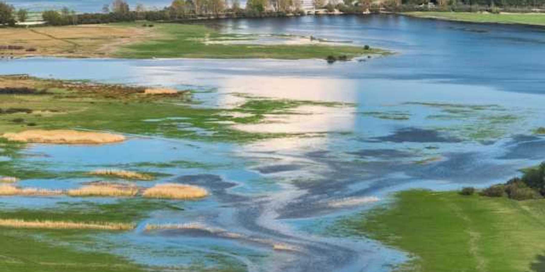 An aerial view of a wetlands area with green fields and trees in the background