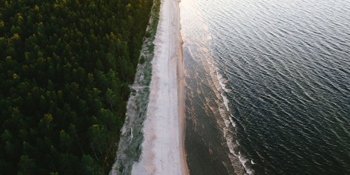 An aerial view of the coastline along a lake.