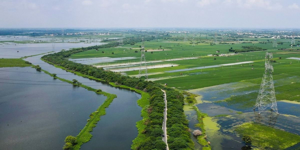 An aerial view of wetlands and green fields.