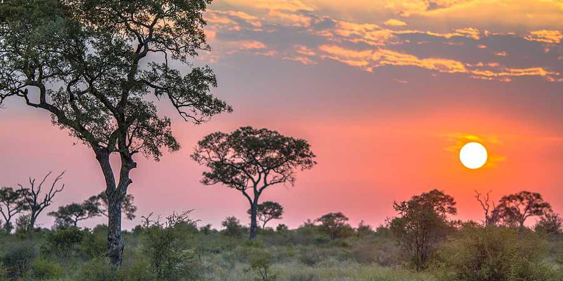 An African reserve with trees and the setting sun