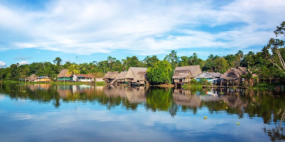 An Amazon village on the edge of a river.