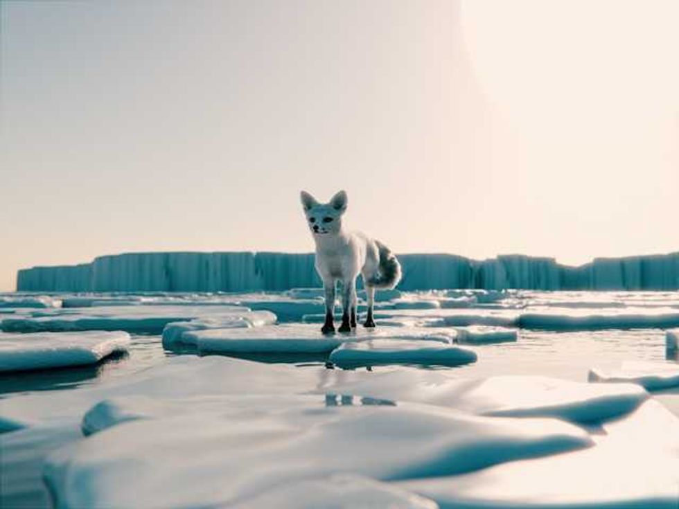 Trump administration ends support for flagship Arctic climate reports