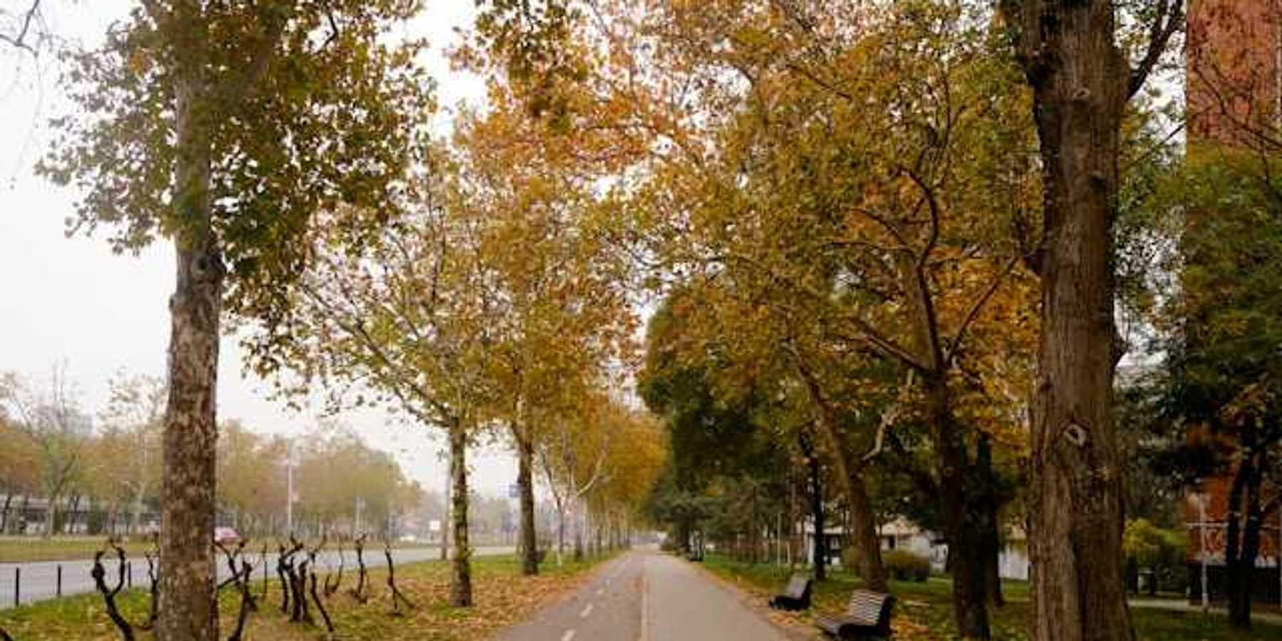 An city park with a bike lane and walking trail lined with fall-colored trees