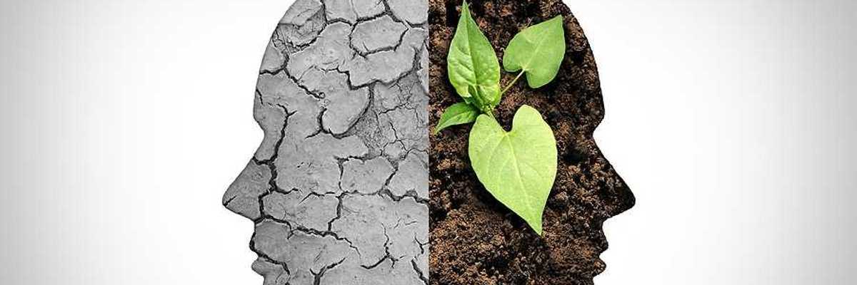 An illustration of a head with cracked earth on one side and soil and greenery on the other
