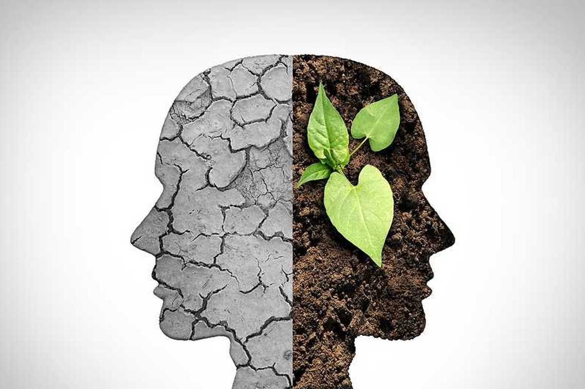 An illustration of a head with cracked earth on one side and soil and greenery on the other
