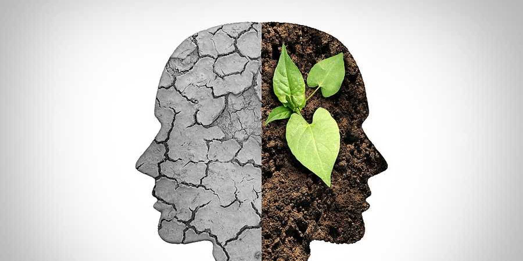 An illustration of a head with cracked earth on one side and soil and greenery on the other
