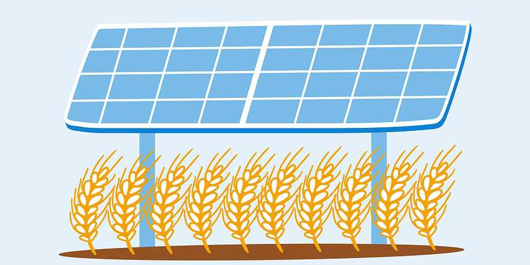 An illustration of a solar panel standing over a wheat field