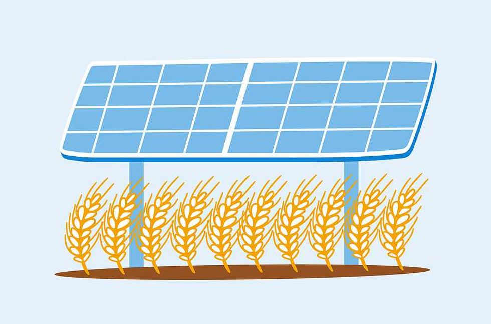 The battle over solar on farmland