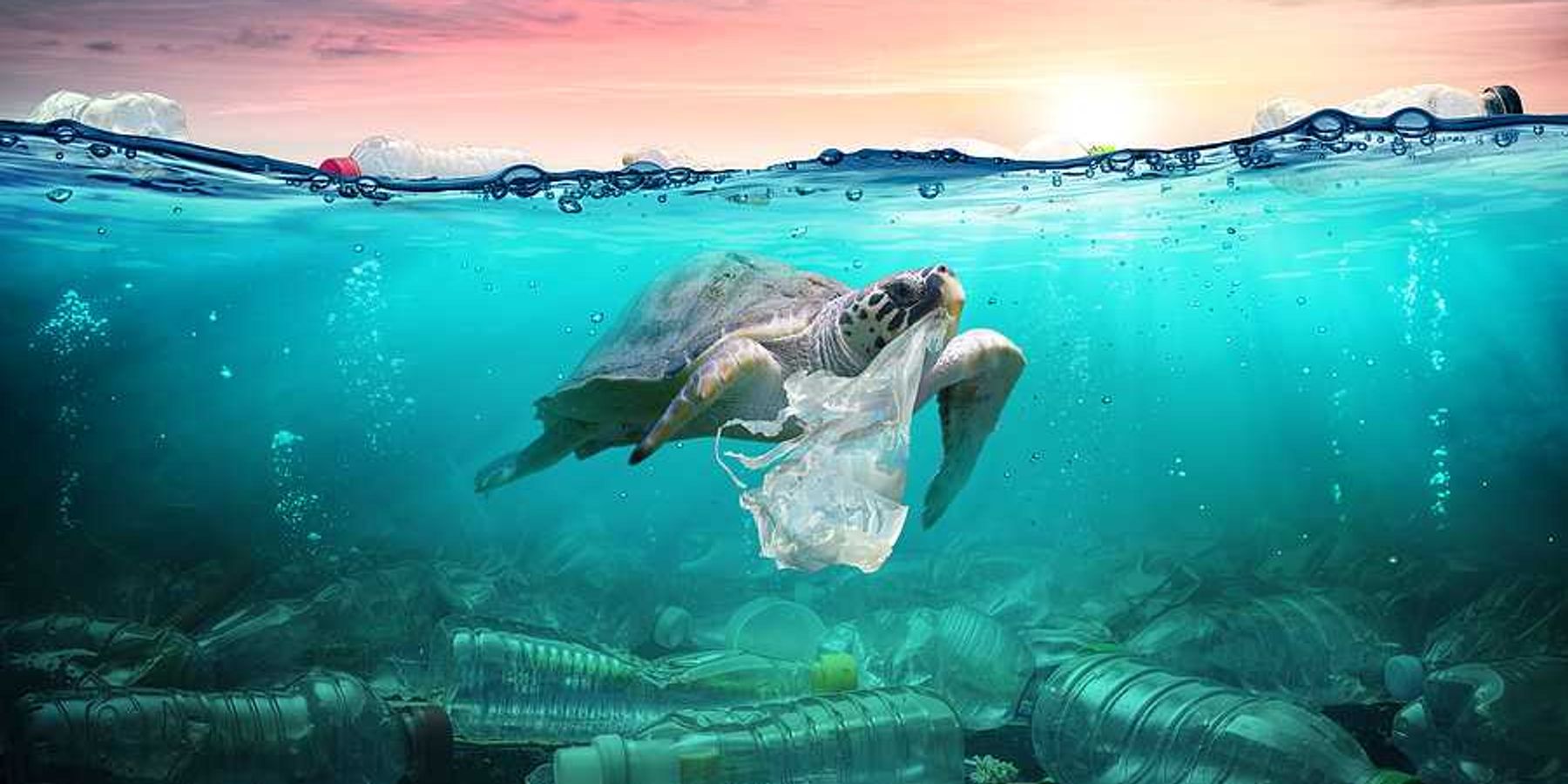 An illustration of a turtle with plastic in its mouth, surrounded by plastic bottles