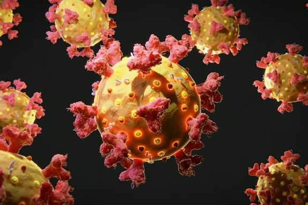 An illustration of bacteria