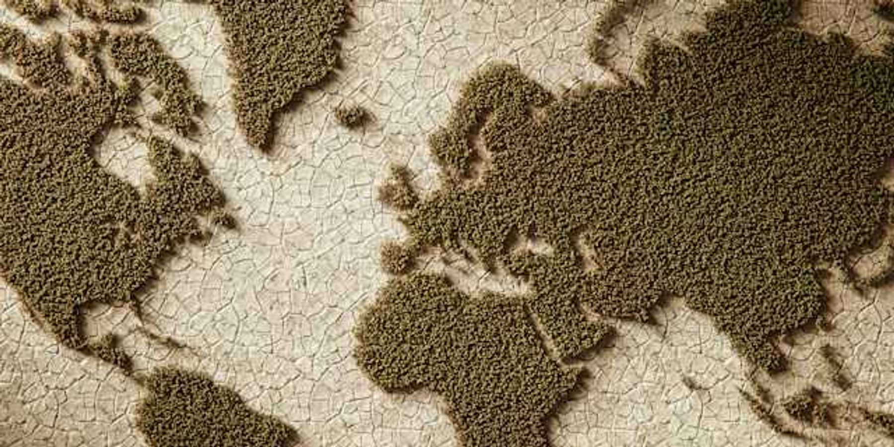 An illustration of continents of the earth with dry land where the oceans should be