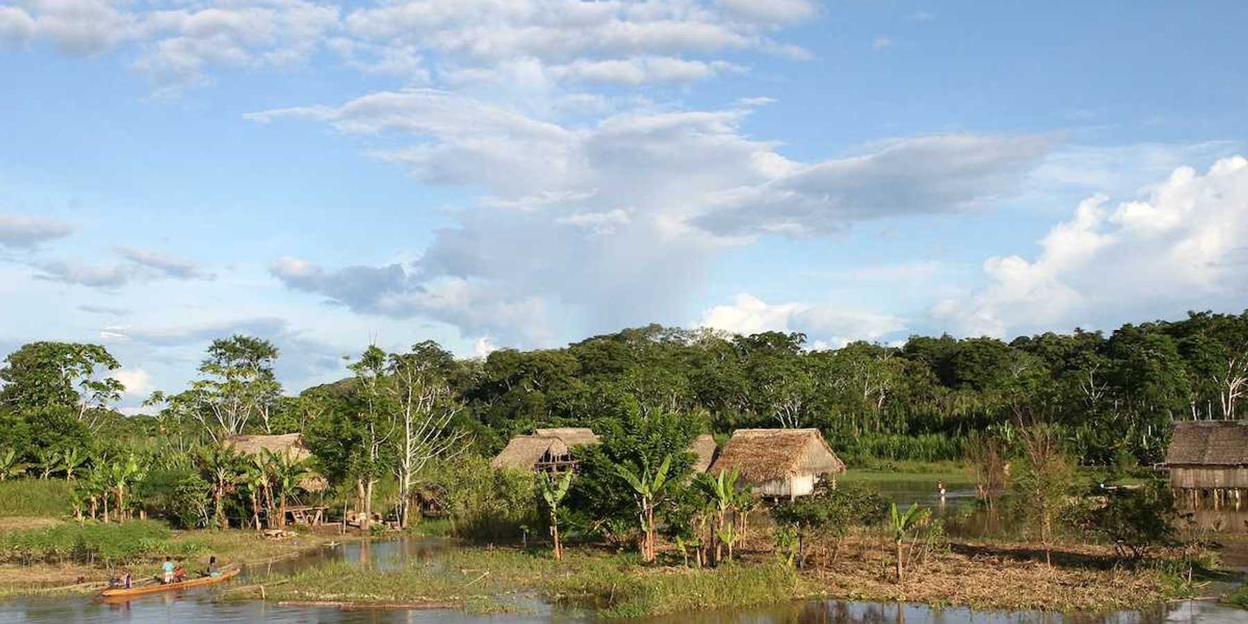 An indigenous village in the Amazon river basin