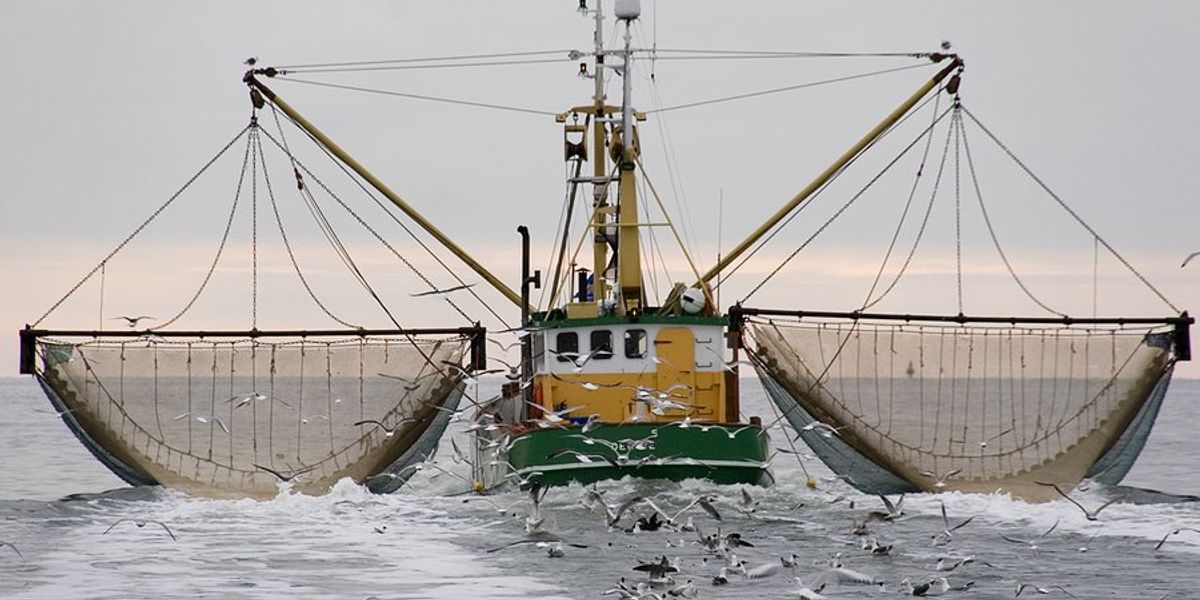 An ocean trawler with big nets to catch fish.