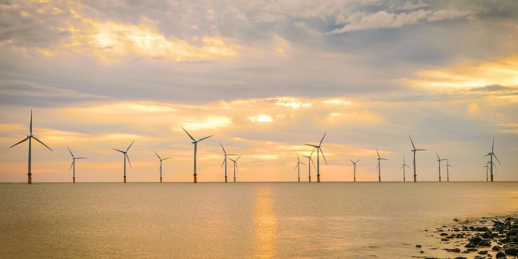 An offshore wind farm viewed from the shore during sunset.