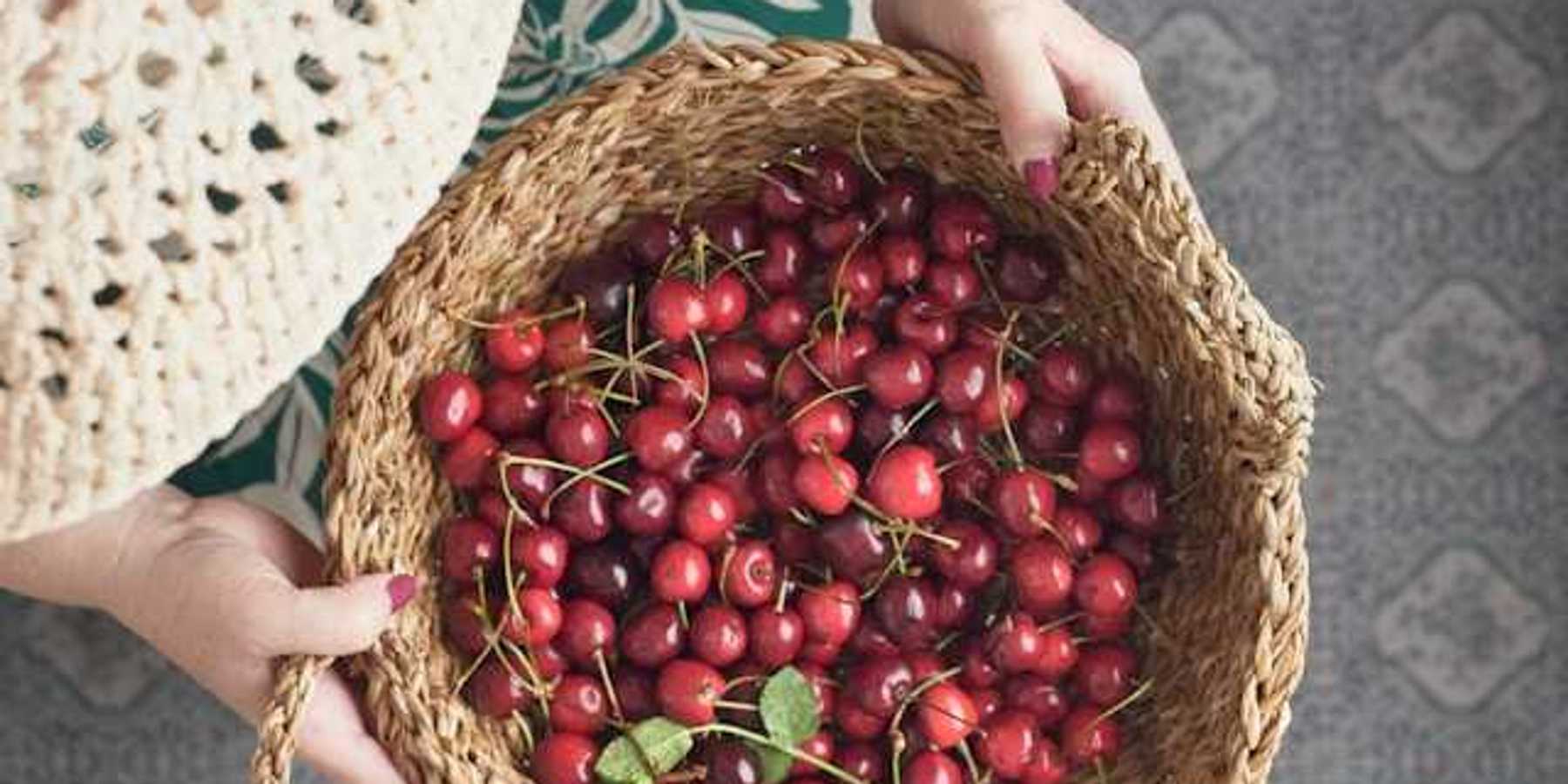 An overhead view of a person holding a basket of red cherries