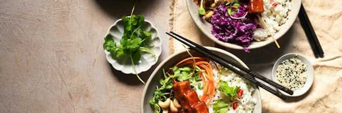An overhead view of two rice and tofu bowls