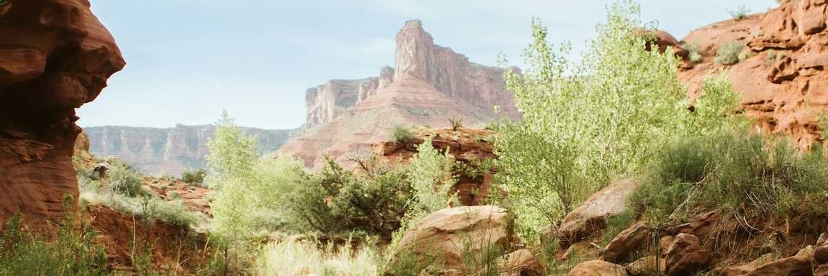 arroyo in the arid Southwest canyon country with water running through it