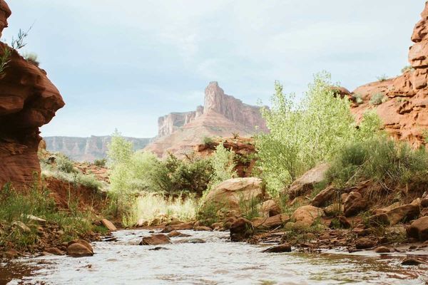 arroyo in the arid Southwest canyon country with water running through it