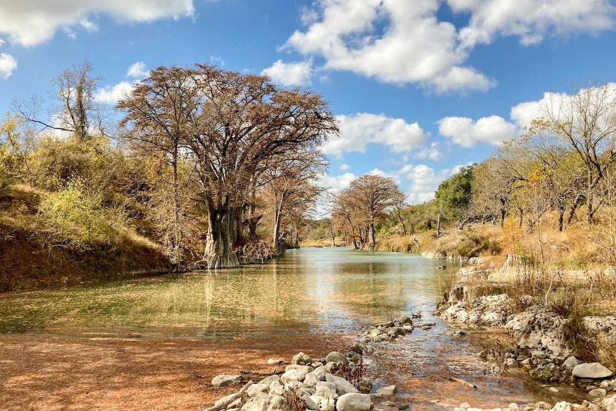 Autumn trees and foliage along the clear water of the Guadalupe River in Texas.