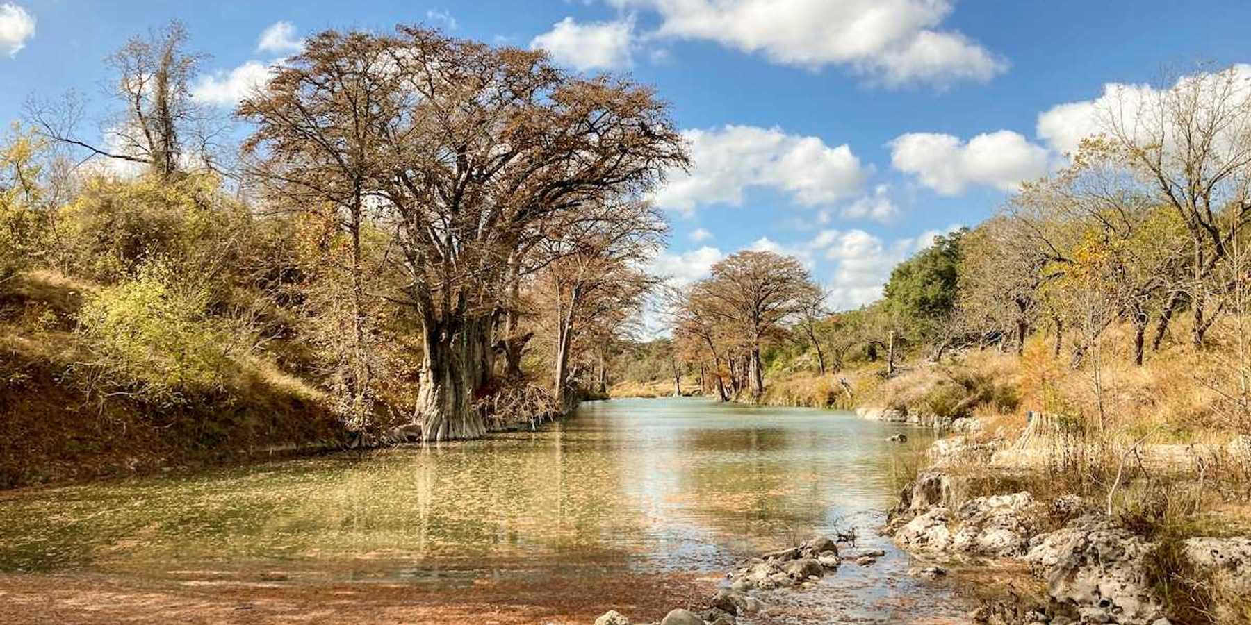 Autumn trees and foliage along the clear water of the Guadalupe River in Texas.