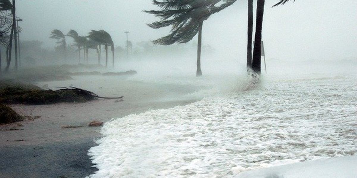 Beach with strong winds blowing palm trees and surf.