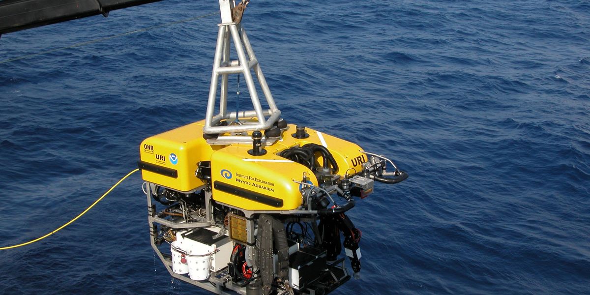 bioengineering climate solutions