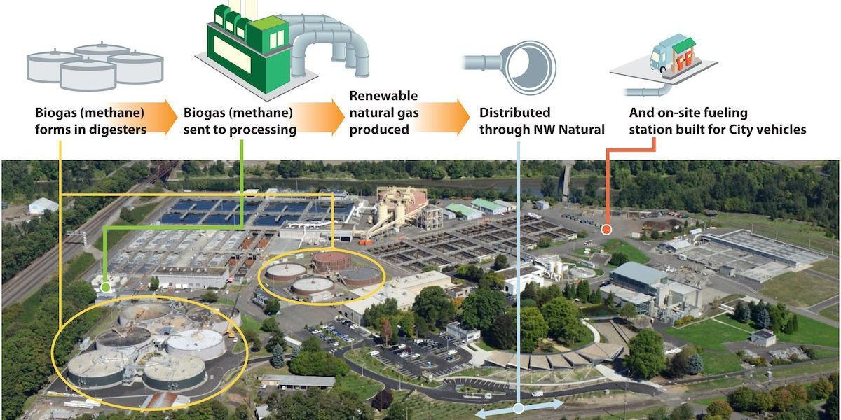 biogas greenwashing