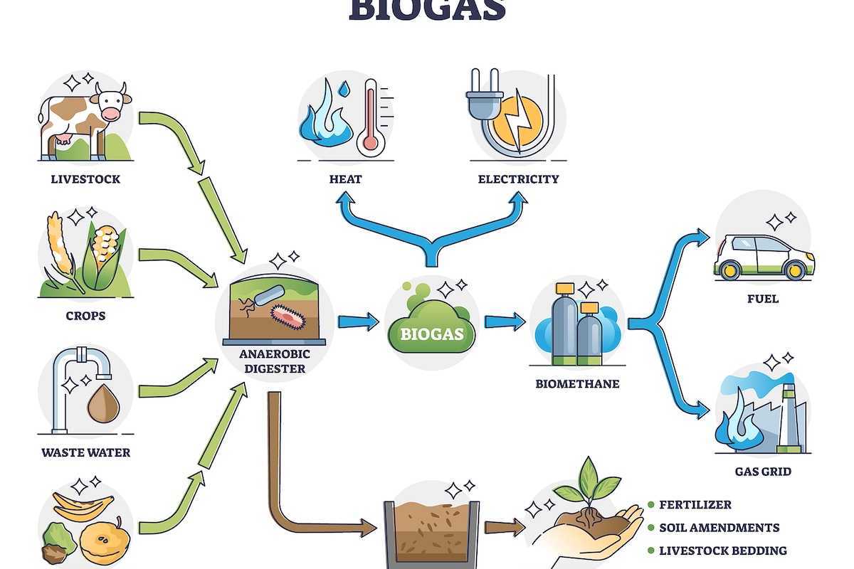 Biogas or bio gas division for energy consumption and sources outline diagram.