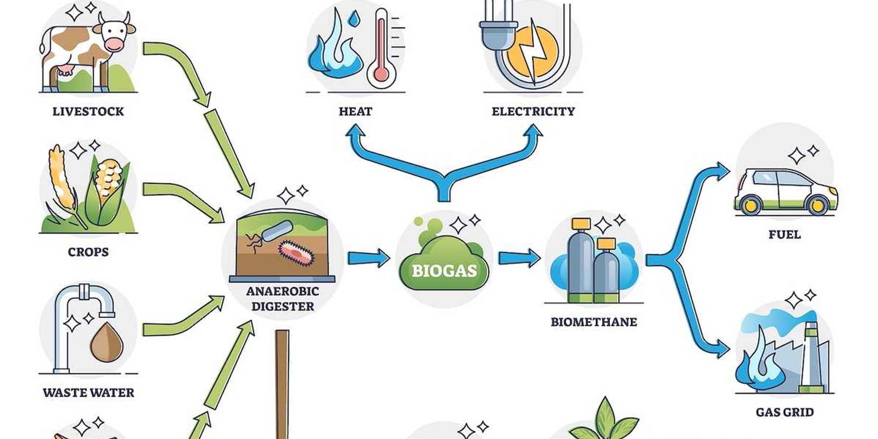 Biogas or bio gas division for energy consumption and sources outline diagram.