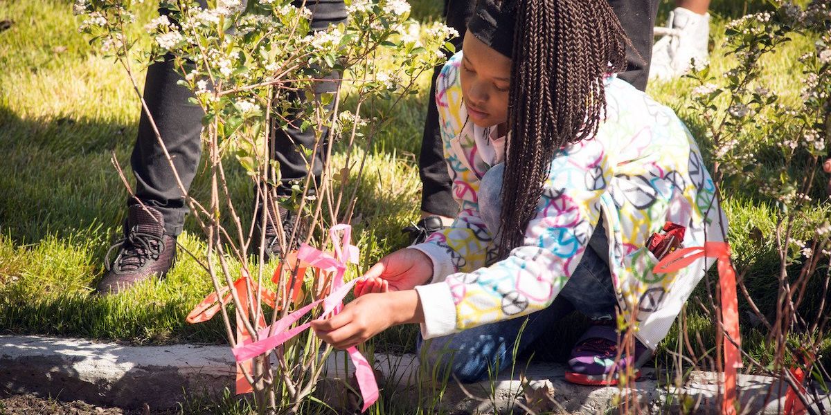 Black communities climate resilience