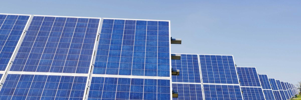 blue solar panels on green grass.