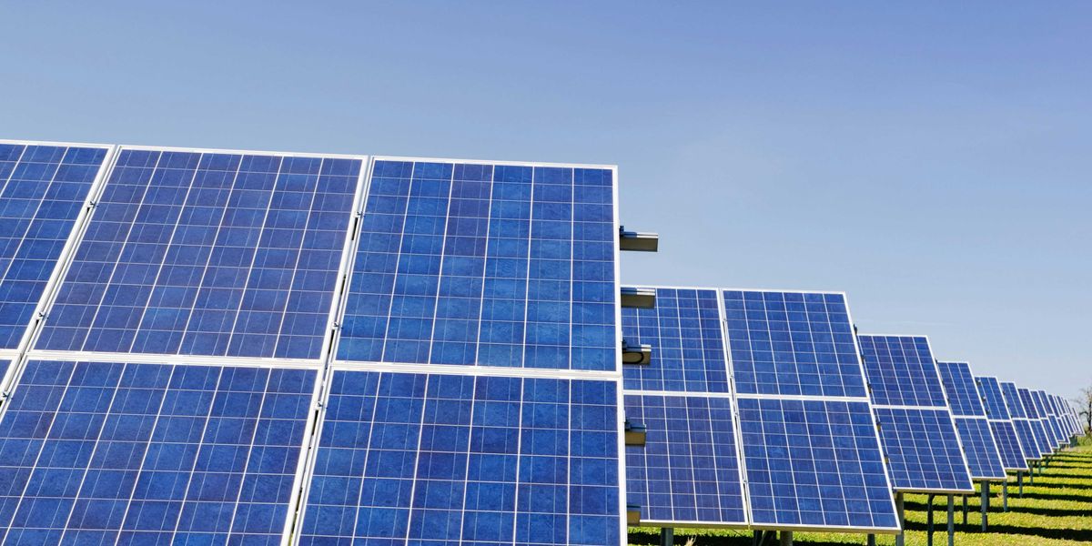 blue solar panels on green grass.