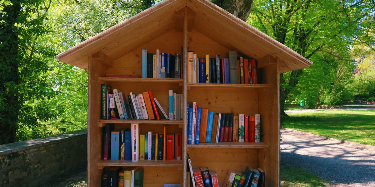 Books on an outdoor bookshelf shaped like a house, with trees in background.