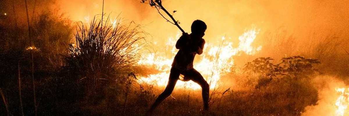 Boy fights wildfire by beating flames with a tree limb