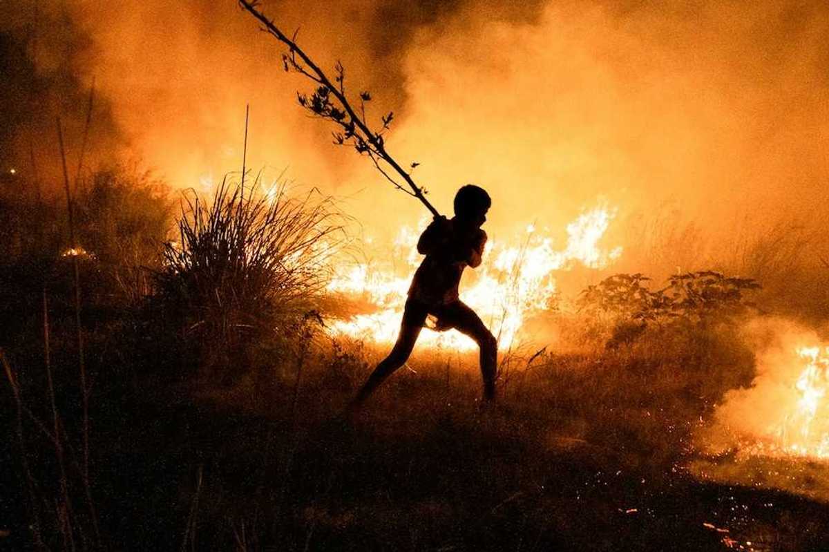 Boy fights wildfire by beating flames with a tree limb
